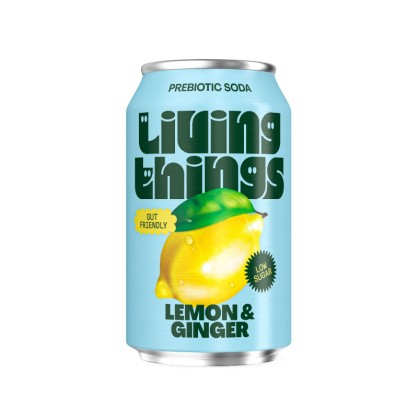 Soda Citron Gingembre 33cl - Living Things - vegetalfood