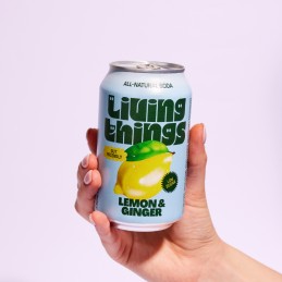 Soda Citron Gingembre 33cl - Living Things - vegetalfood