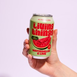 Soda Pastèque Citron vert 33cl - Living Things - vegetalfood