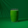 Mélange pour smoothie The Real Green - Wholey - vegetalfood