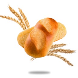 Petits Pains Natures Vegan 280 gr (8 x 35 gr) - La Fournée Dorée