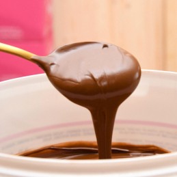Chocoline - Pâte à tartiner bio Chocolat Noisette BIO 2 kg - Rhythm108